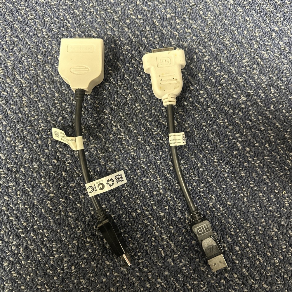 BizLink 023Nvr Dp To Dvi (Display Port Dvi) Cable Adapter Dongle - Two (2) Pack